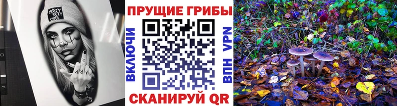 Галлюциногенные грибы мицелий  Обь 