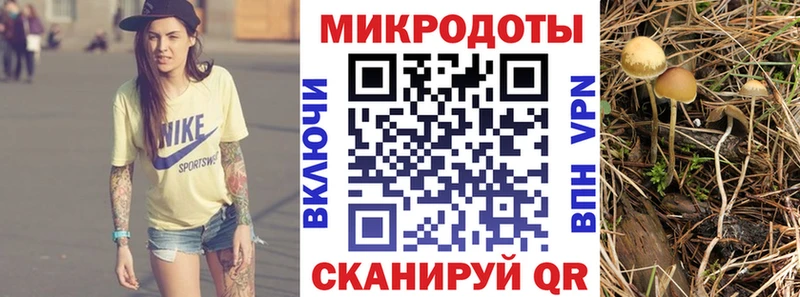 Псилоцибиновые грибы GOLDEN TEACHER Обь
