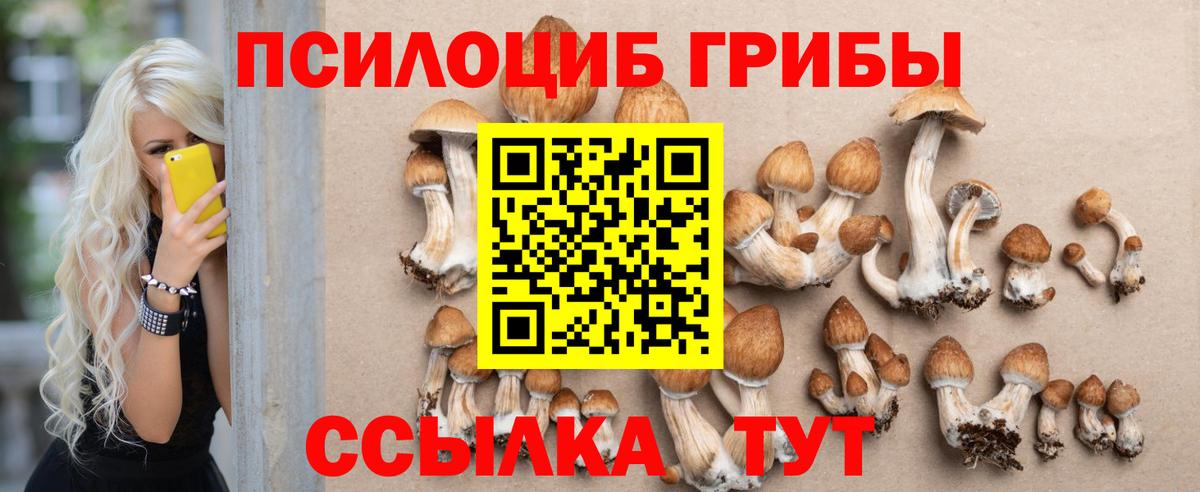 Галлюциногенные грибы Psilocybe Обь
